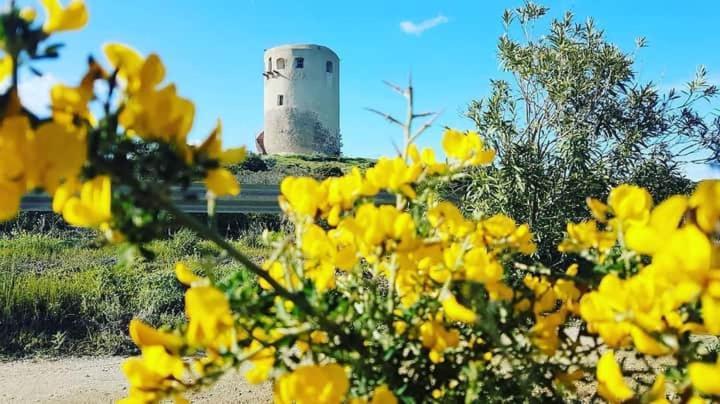 Villa Orsola Villaputzu Bagian luar foto